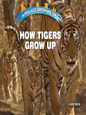 cover image of How Tigers Grow Up